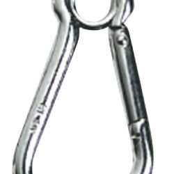 Moschettone inox grande con occhio 14 mm