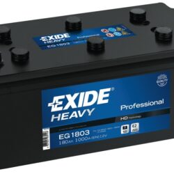 Batteria Professional 120 Ah