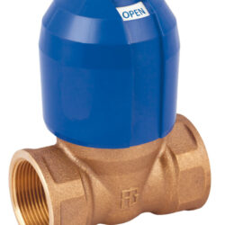Valvola antiblocco in bronzo Alex filettata 1"