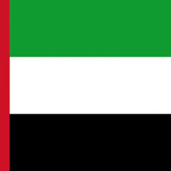 Bandiera Emirati Arabi Uniti 20 x 30 cm