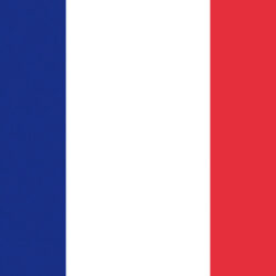 Bandiera Francia 30 x 45 cm