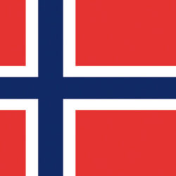 Bandiera Norvegia 30 x 45 cm
