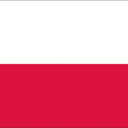 Bandiera Polonia 20 x 30 cm