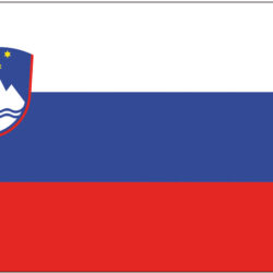 Bandiera Slovenia 20 x 30 cm
