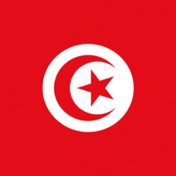 Bandiera Tunisia 20 x 30 cm